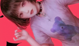 性插图视频,内容、影响与伦理探讨